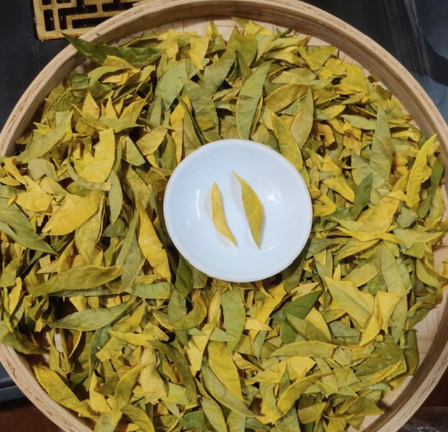 半叶黄金白茶
